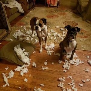 Meet your Posher, Janet